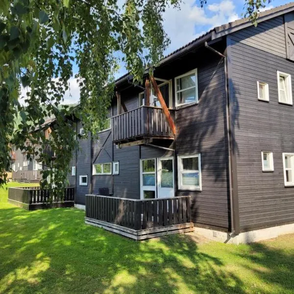 Friends & Family Apartment at Hafjell Alpinlandsby/Øyer Center，位于奥耶的酒店