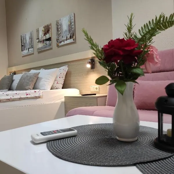 Guest House Nova，位于莫斯塔尔的酒店