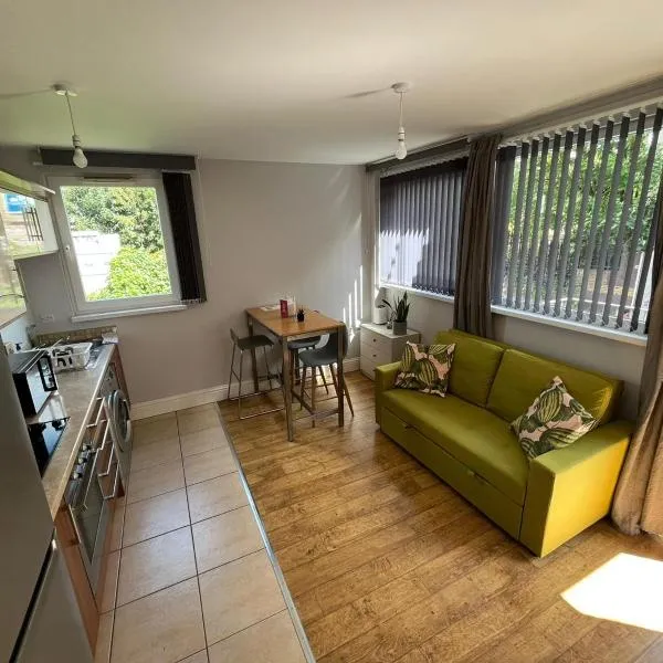 London Modern Flats near transports，位于伦敦的酒店