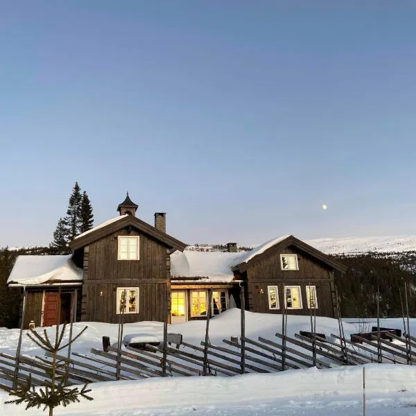 Luxurious, well-Equipped and modern Cabin by the Cross-Country Ski Trails，位于Haglebu的酒店