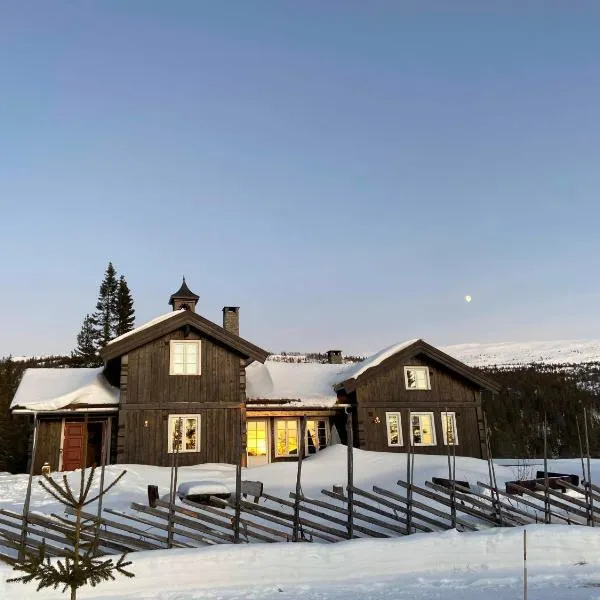 Luxurious, well-Equipped and modern Cabin by the Cross-Country Ski Trails，位于弗洛的酒店