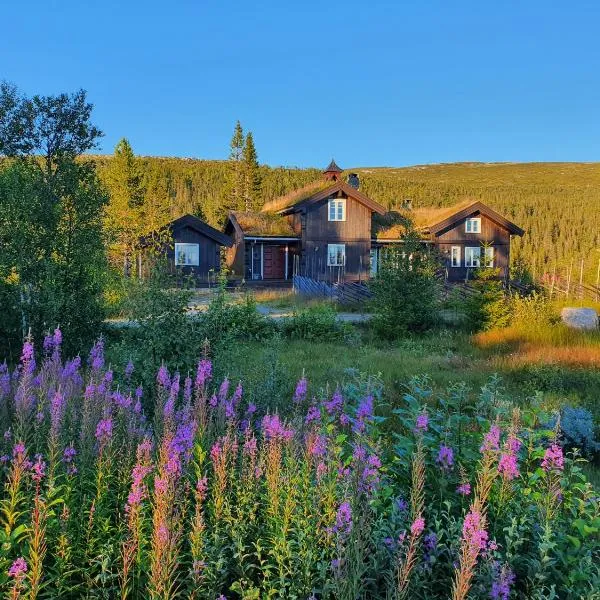 Luxurious, well-Equipped and modern Cabin by the Cross-Country Ski Trails，位于Eggedal的酒店