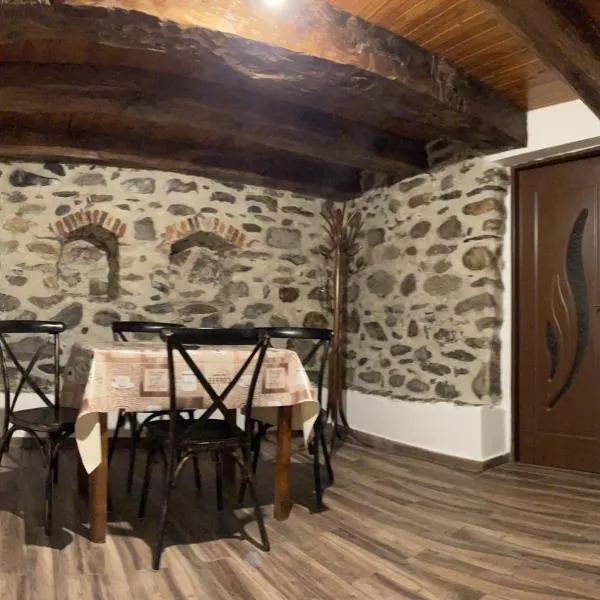 Casa de sub Salcie，位于Vîlsăneşti的酒店