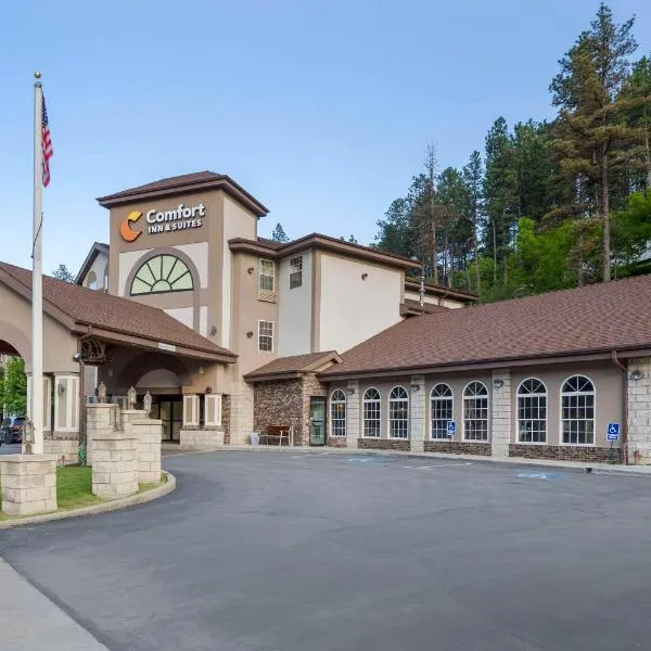 Comfort Inn & Suites Mt Rushmore，位于Rockerville的酒店