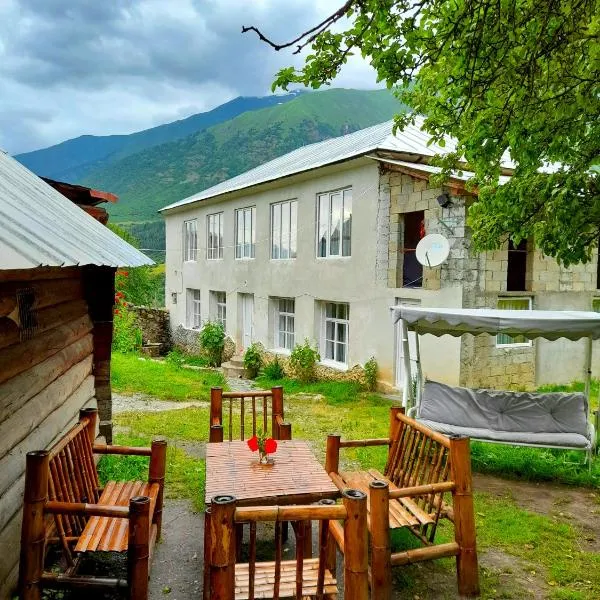 Guesthouse of Irina，位于Chvabiani的酒店