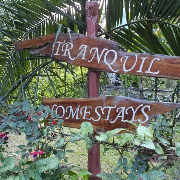 Tranquil Homestays，位于Kuhora Twana的酒店