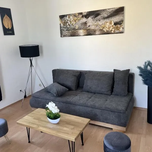 Apartment 2 - Haus Lausitzring，位于Sallgast的酒店