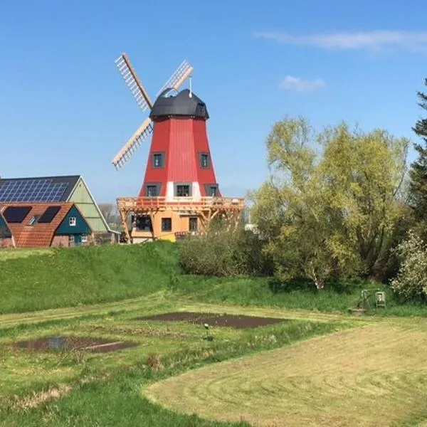 Ferienhaus Mühle "Neue Hoffnung"，位于Beidenfleth的酒店