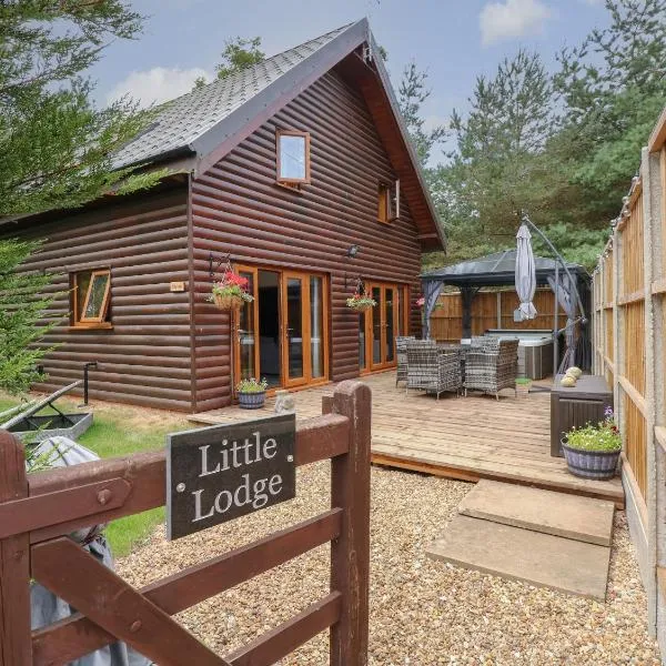 Little Lodge，位于金斯林的酒店
