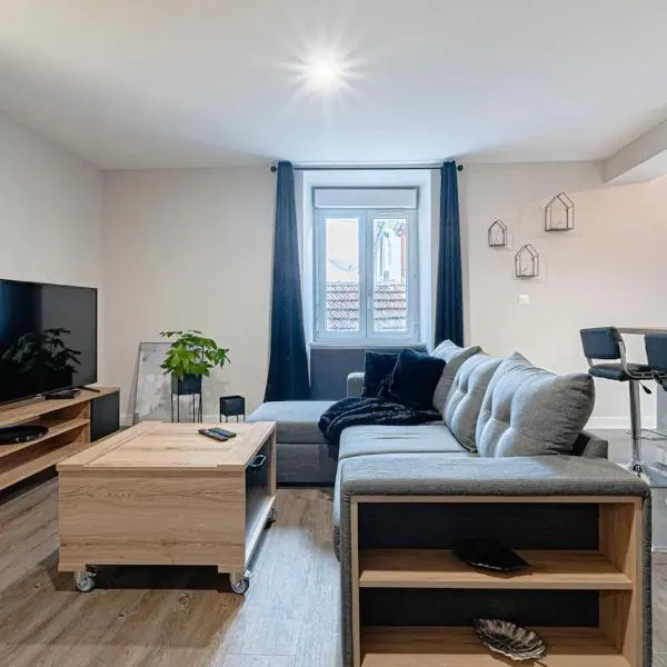 Les Erables des Benedictins, Spacieux-Proches gare，位于里摩日的酒店