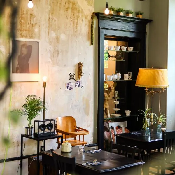 布蒂克酒店，位于安锡的酒店