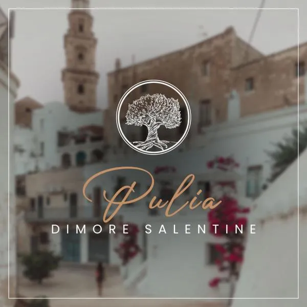 B&B Pulia Dimore Salentine Leuca，位于阿莱萨诺的酒店