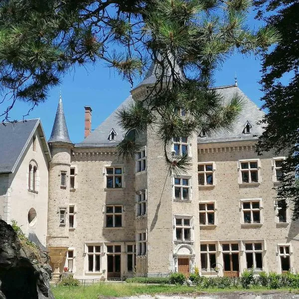 Gîte du Chateau de Saint-Geoire，位于Domessin的酒店