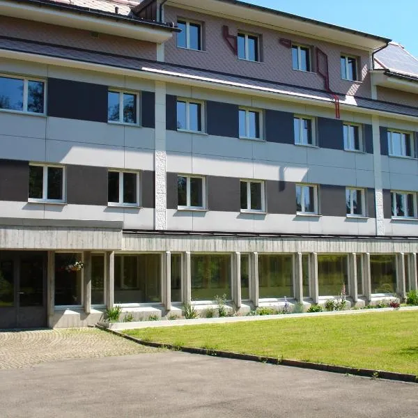 Allegro Alpin Lodge，位于Euthal的酒店