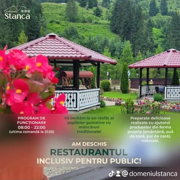 Pensiune Domeniul Stanca，位于Chiril的酒店