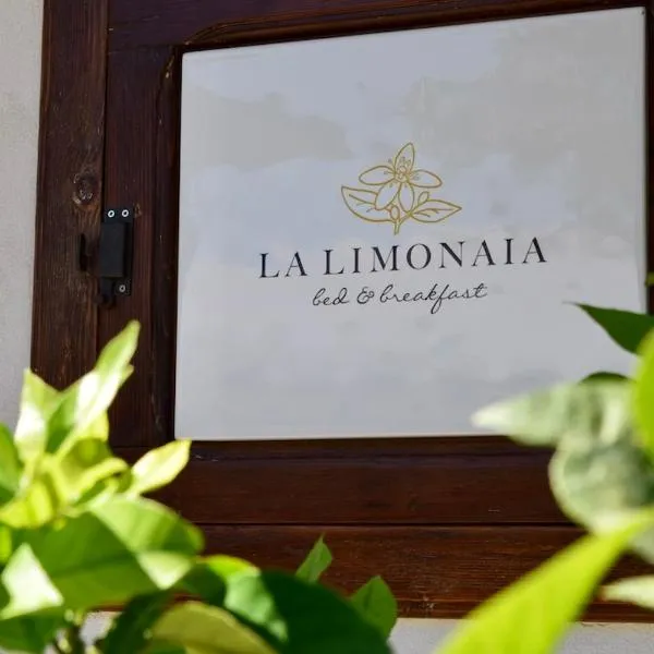 B&B La Limonaia，位于Tollo的酒店