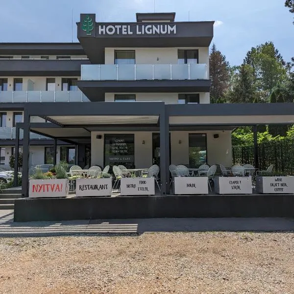 Lignum Hotel，位于Kisgyőr的酒店