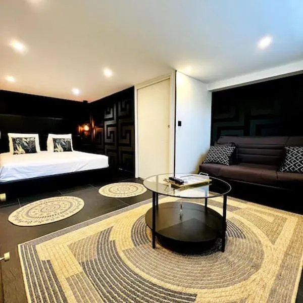 La Suite Saint Roch，位于维勒雷阿勒的酒店