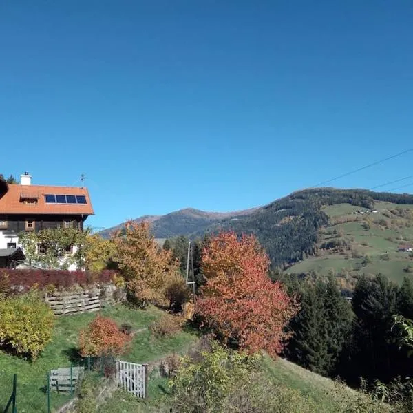 "Tiny Tenne" 15m2 im Altem Bergbauernhaus 1110m，位于Purbach的酒店