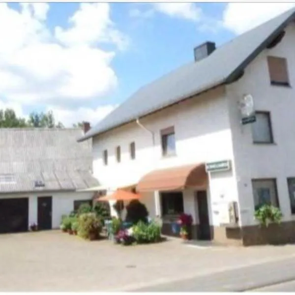 Pension Burgklause，位于Balesfeld的酒店