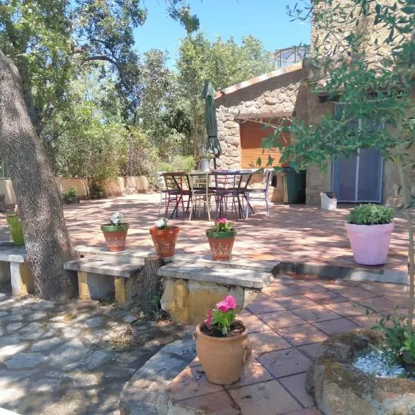 Casa Rural Viñas Perdidas，位于贝哈尔的酒店