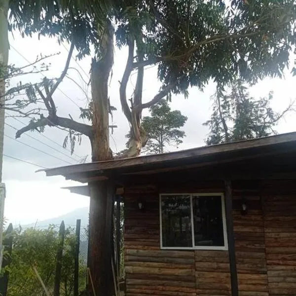 Hermosa Cabaña Campestre，位于佩雷拉的酒店