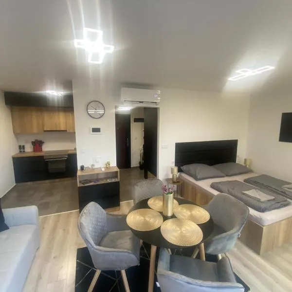 Lake View Penthouse，位于豪伊杜索博斯洛的酒店