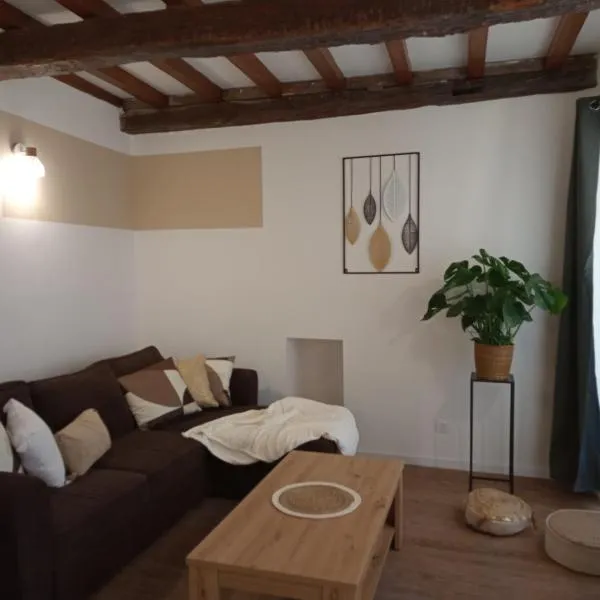 Chaleureux duplex spacieux et ensoleillé，位于Barret-le-Bas的酒店