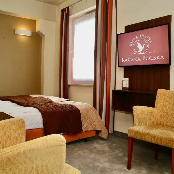 泰科佐维梅林酒店，位于Miedziana Góra的酒店
