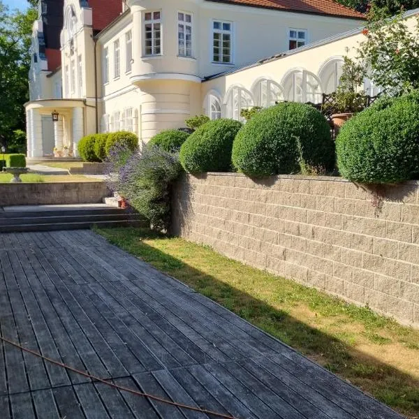 Chateau Radvanov Pension，位于Mladá Vožice的酒店