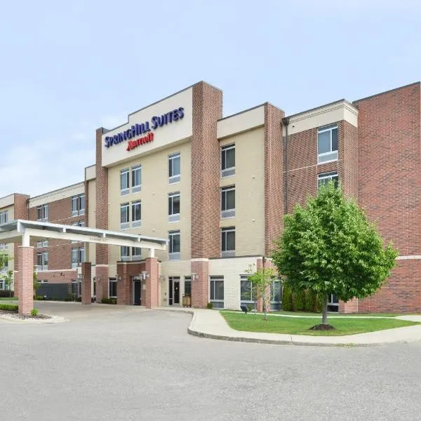 Springhill Suites by Marriott Detroit Metro Airport Romulus，位于Inkster的酒店