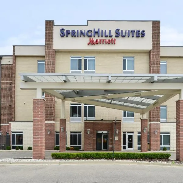 Springhill Suites by Marriott Detroit Metro Airport Romulus，位于Romulus (Michigan)的酒店