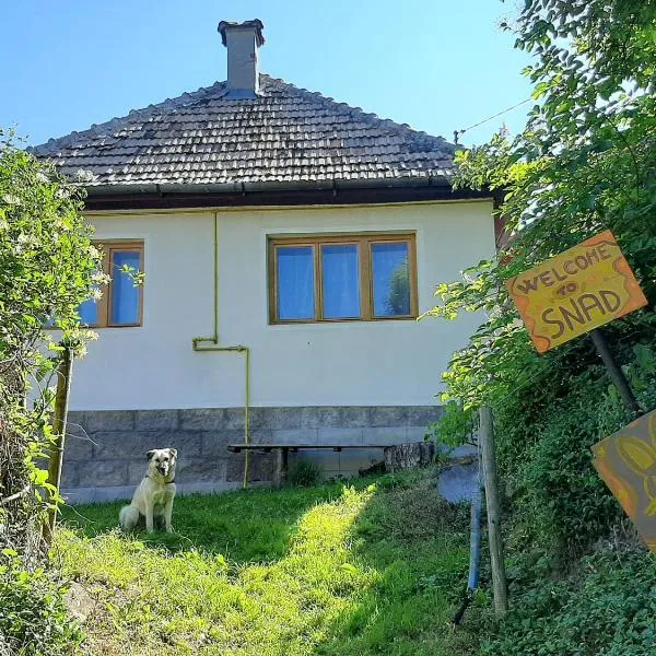 Welcome to Snad，位于Plăeşii de Sus的酒店