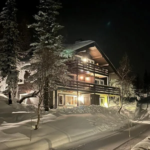 SKI INN/OUT - 4-room apartment w/3 bedroom，位于Gaustablikk的酒店