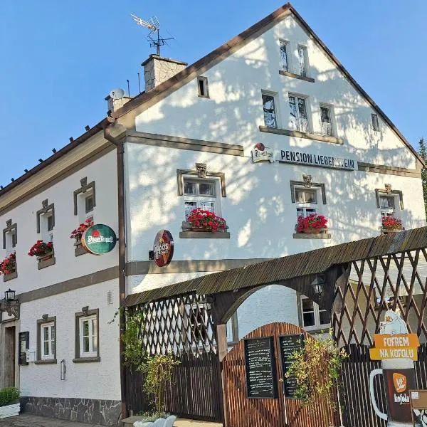 Restaurant & Pension Liebenstein，位于Libá的酒店