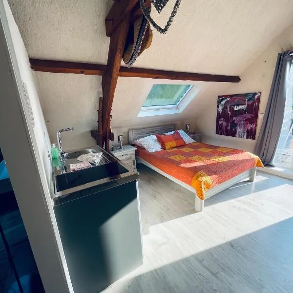 Studio au bord de la forêt de Perseigne，位于Beauvoir的酒店