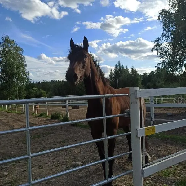 BB Polle - with the horse view，位于Väisälä的酒店