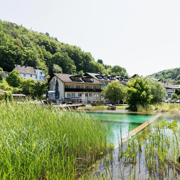 克里斯特尔酒店，位于Heimbuchenthal的酒店