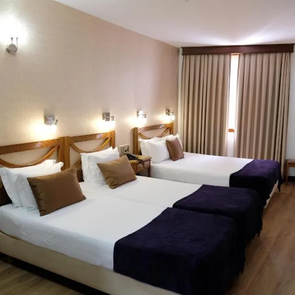 索菲亚多纳酒店，位于布拉加的酒店