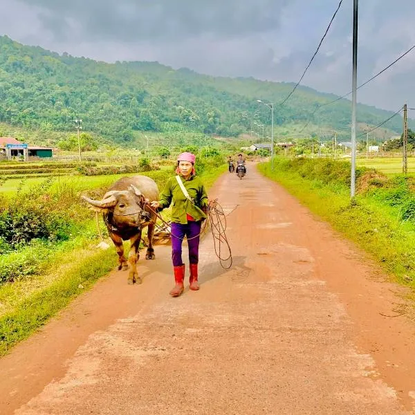 So Farm Mộc Châu - Homestay view núi rừng，位于木州县的酒店