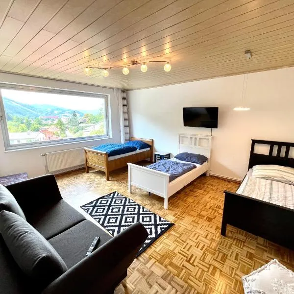 Private Wohnung Leoben Göss，位于Göss的酒店
