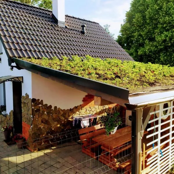 Agroturystyka u Cezarego，位于Liniewo的酒店