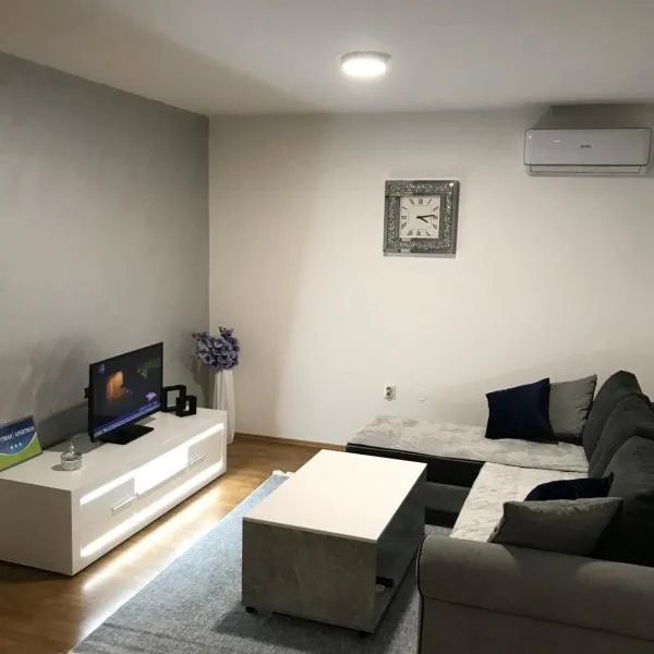 Apartman/Stan na dan Teslić，位于泰斯利奇的酒店