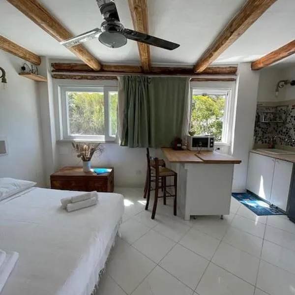 Marbnb Appartamenti Ponza Centro porto Casa Luisa，位于蓬扎的酒店