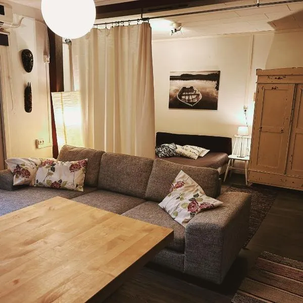 Small Apartment, Tahko, Sauna, Shower, WiFI, PetsOK, Budget, Wanha koulu Tahkovuori，位于Reittiö的酒店