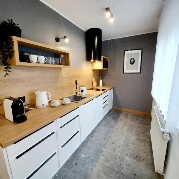 Kolory Warmii Apartamenty Biały i Szary，位于奥尔什丁的酒店