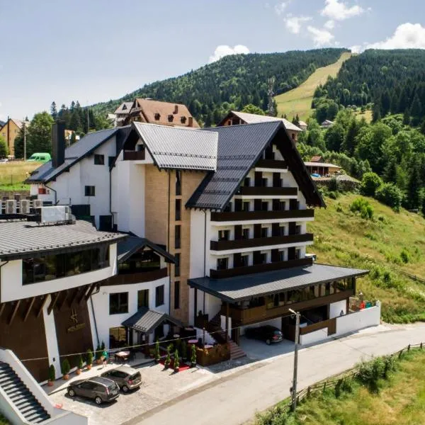 Hotel Roman Maramures - Ski & Spa Resort，位于Statiunea Borsa的酒店