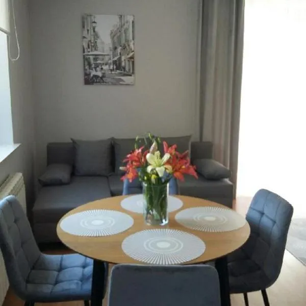 Apartament pod czwórką，位于桑多梅日的酒店