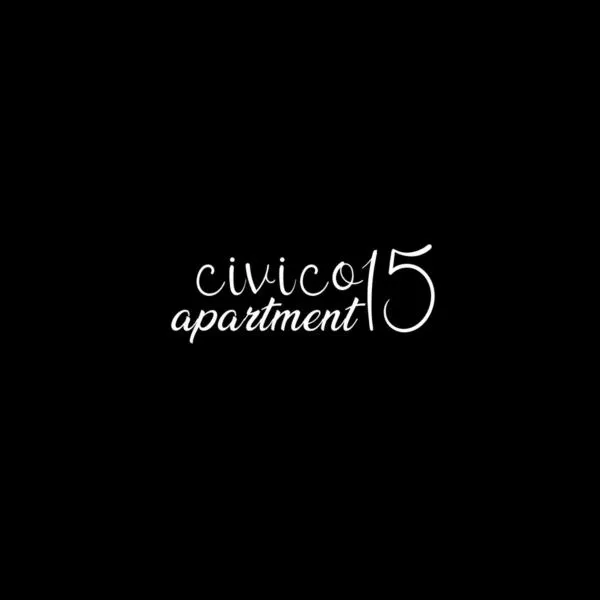 CIVICO 15 APARTMENT，位于梅尔卡托圣塞韦里诺的酒店