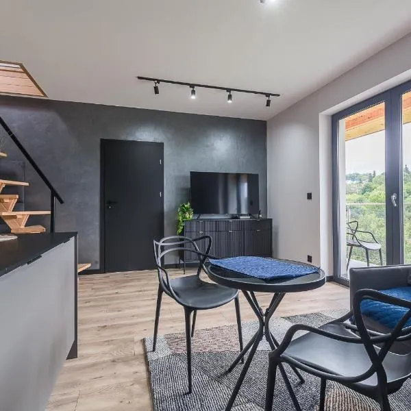 Apartament w Dolinie Sanu，位于莱斯科的酒店